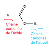 nomenclature esters