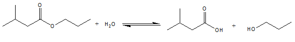 r&eacute;action hydrolyse 